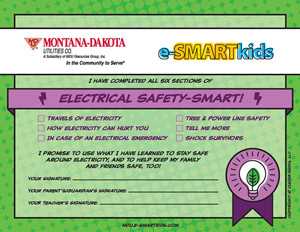 Electrical Safety-SMART certificate